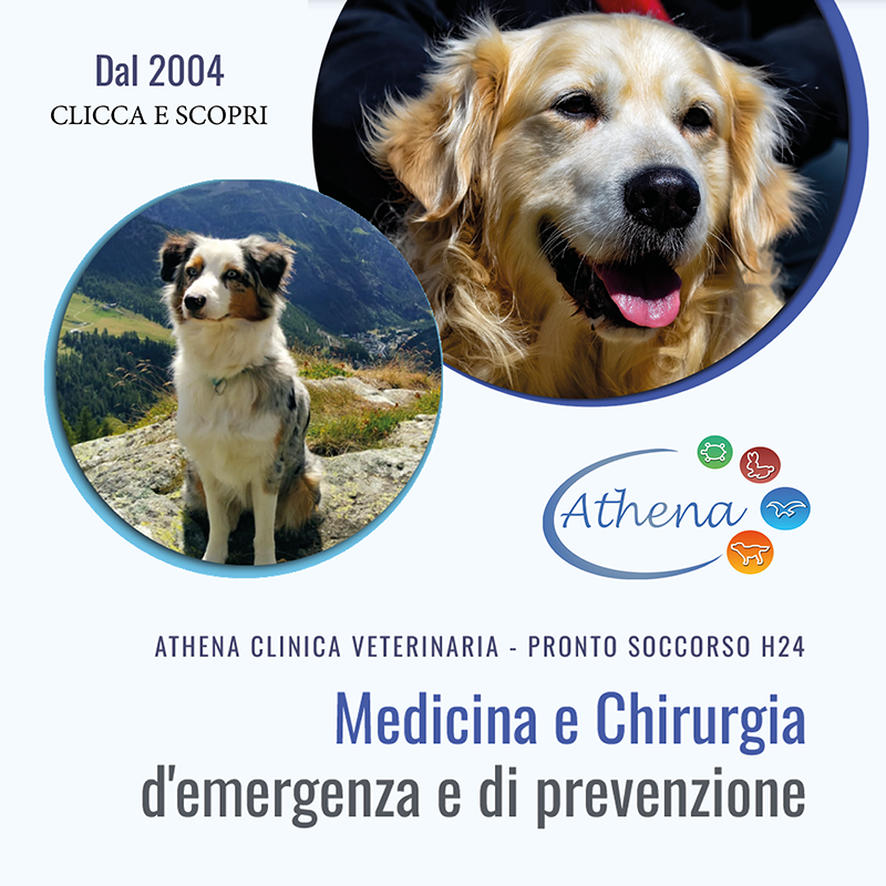 Clinica Athena banner 1 generico