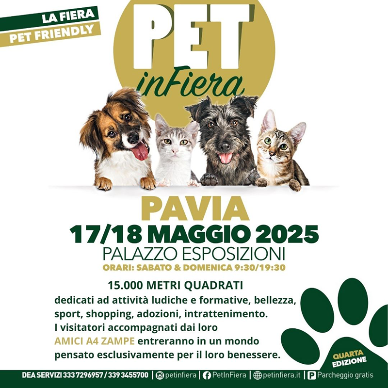 pet in fiera quadrato