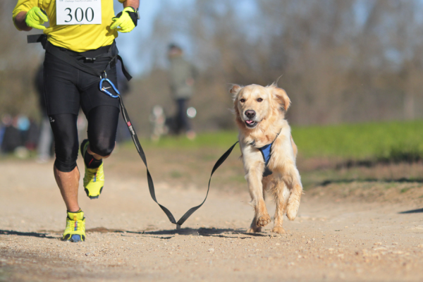 Correre con il cane