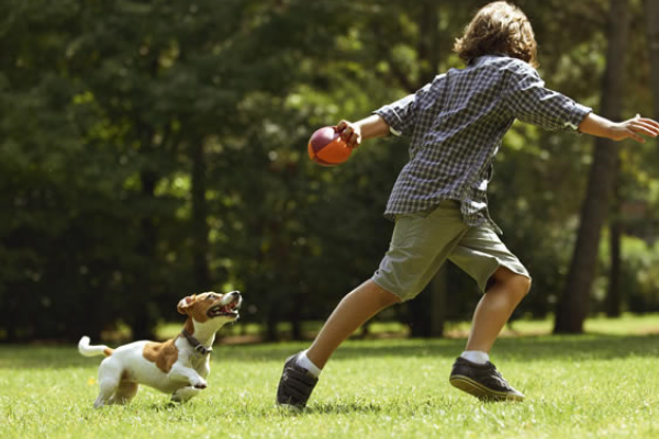 giocare con il cane