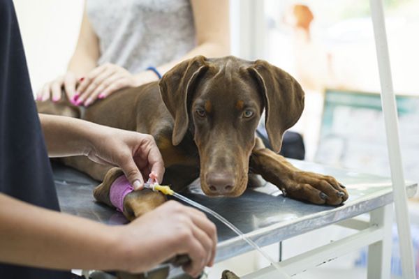 Pronto soccorso per lesioni